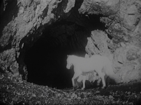film still
